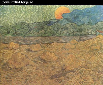 Vincent Van Gogh Evening Landscape with Rishing Moon (nn04)